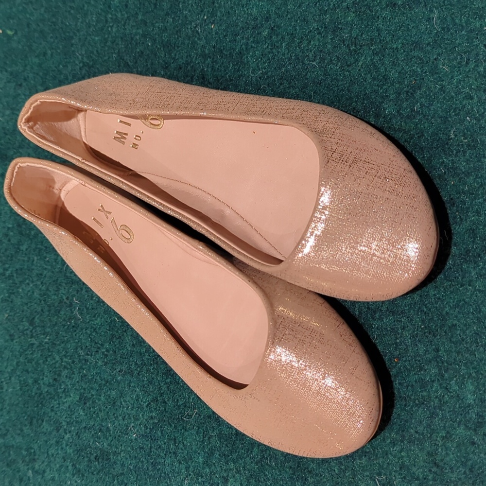 Gold ballet flats (5 US)